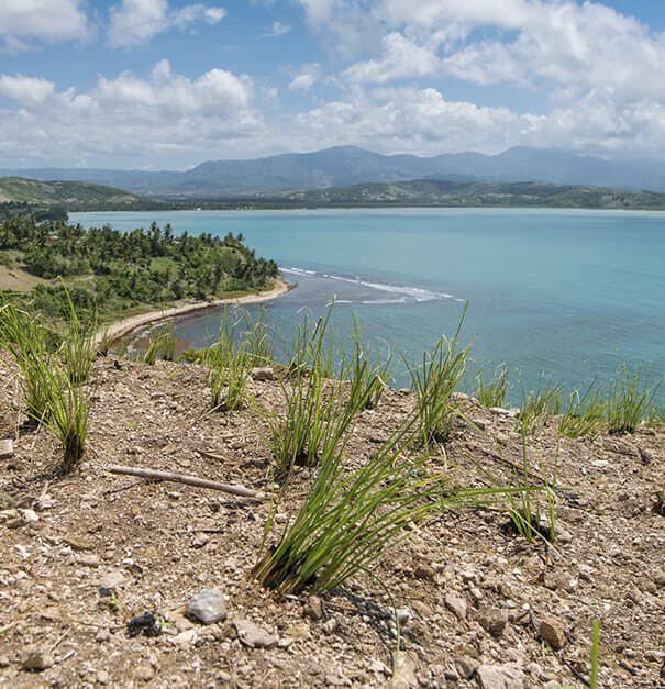 A vibrant landscape featuring green grass in the foreground, overlooking a turquoise coastal bay with mountains in the background under a partly cloudy sky.