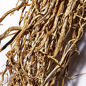 Close-up of tangled, dried roots with a rough texture, displaying various shades of brown.