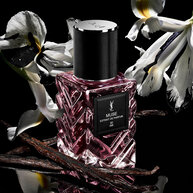 YSL Muse extrait de parfum fles met witte bloemen en vanille peulen op een zwarte achtergrond.