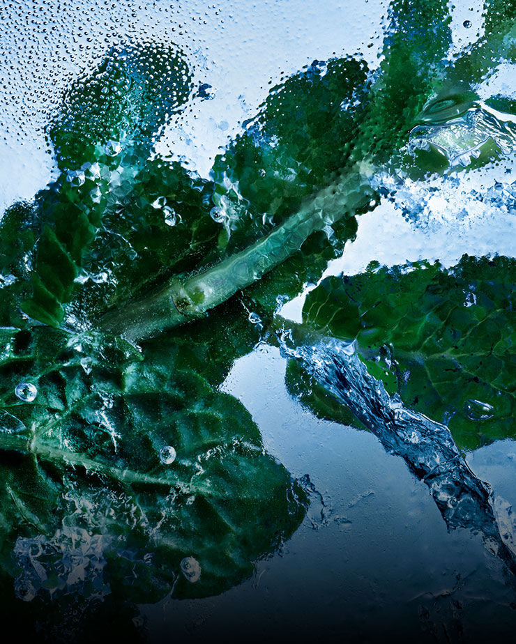 Verse muntblaadjes in ijs en water, symbool voor de verkwikkende essentie van YSL Y Eau de Toilette Intense Iced Cologne.