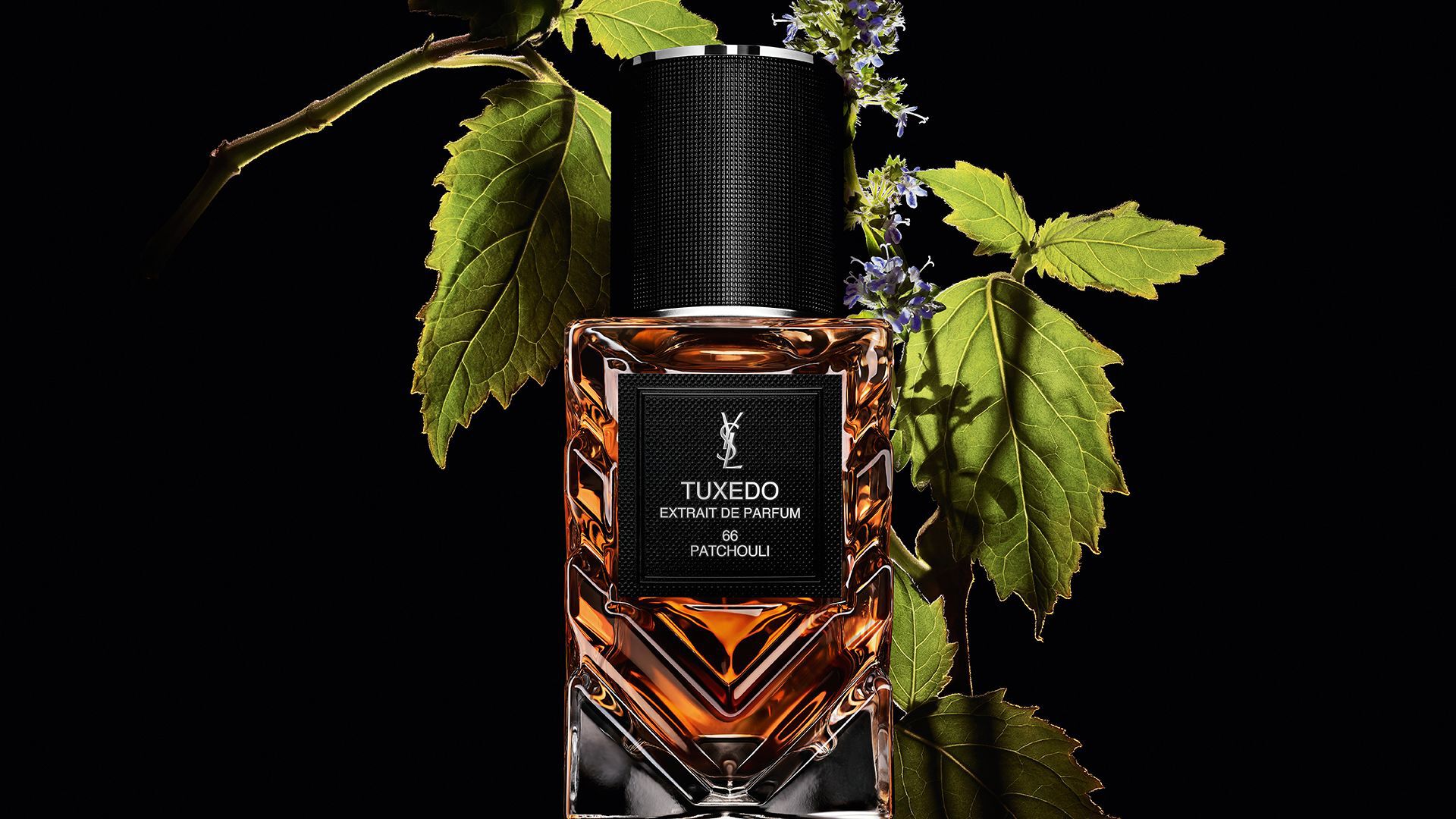 Flacon de l'Extrait de Parfum Tuxedo YSL LVDP, orné de feuilles de patchouli d'un vert éclatant et de délicates fleurs violettes.