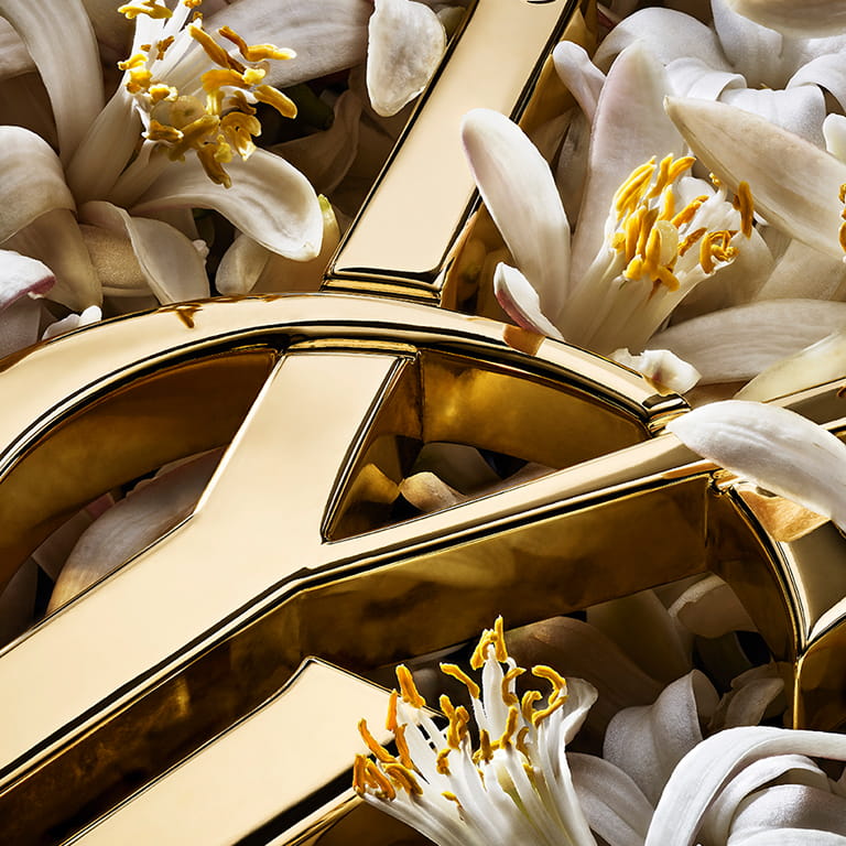 Close-up of the YSL Cassandre logo in polished gold nestled among sensuous orange flowers from Morocco.