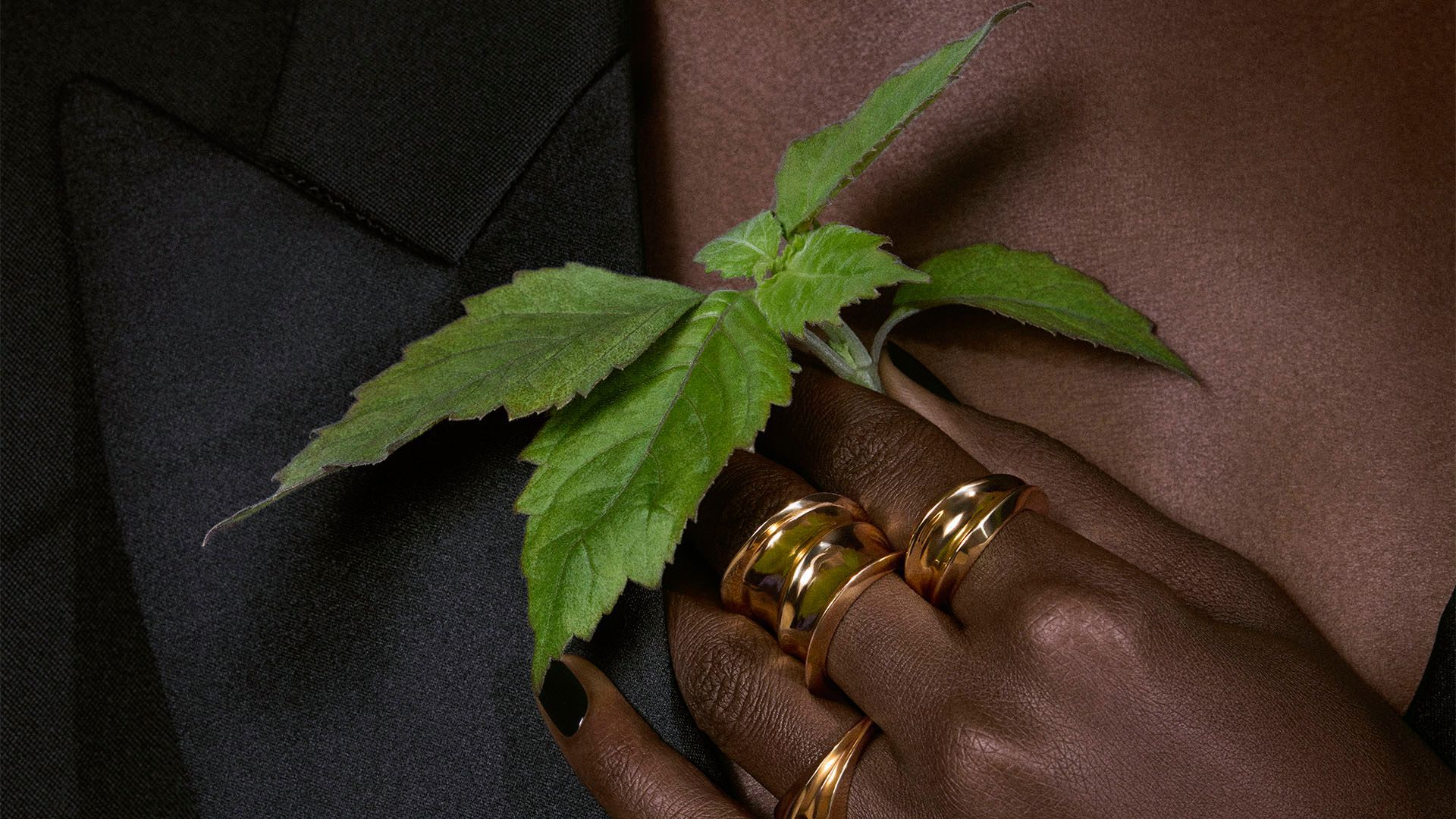Une main parée de bagues d'or et d'ongles sombres tenant un rameau vert éclatant, reflétant l'élégance raffinée du parfum Tuxedo d'YSL.