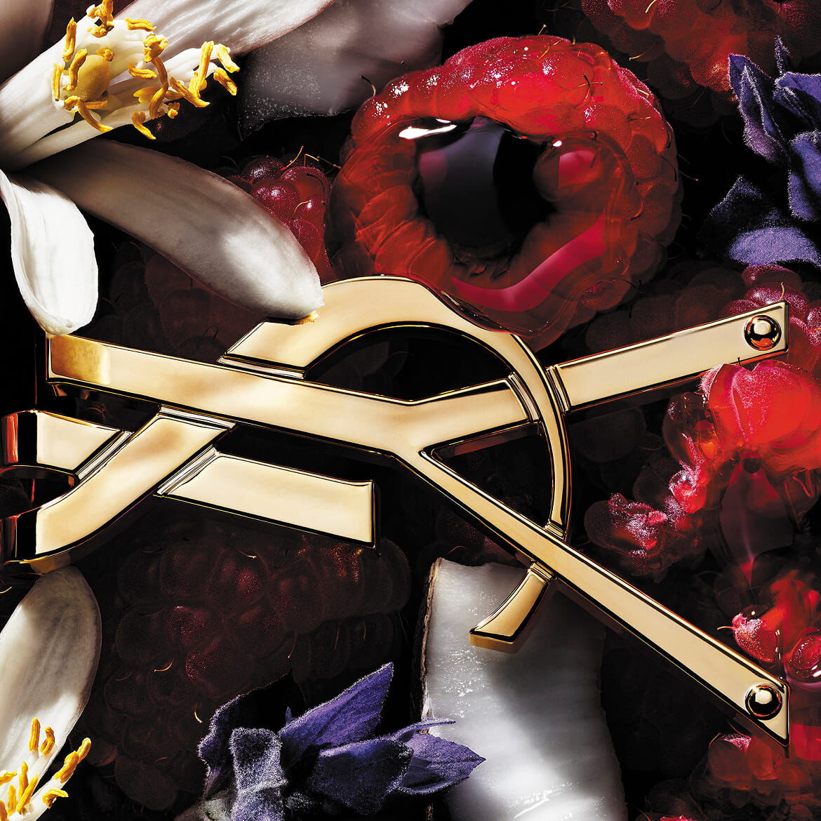 YSL-logo omringd door frambozen, witte en paarse bloemen en kokosnoot.