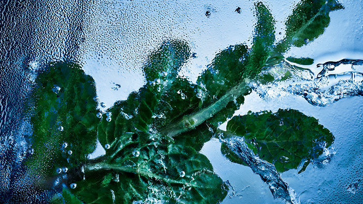 Verse muntblaadjes in ijs en water, symbool voor de verkwikkende essentie van YSL Y Eau de Toilette Intense Iced Cologne.