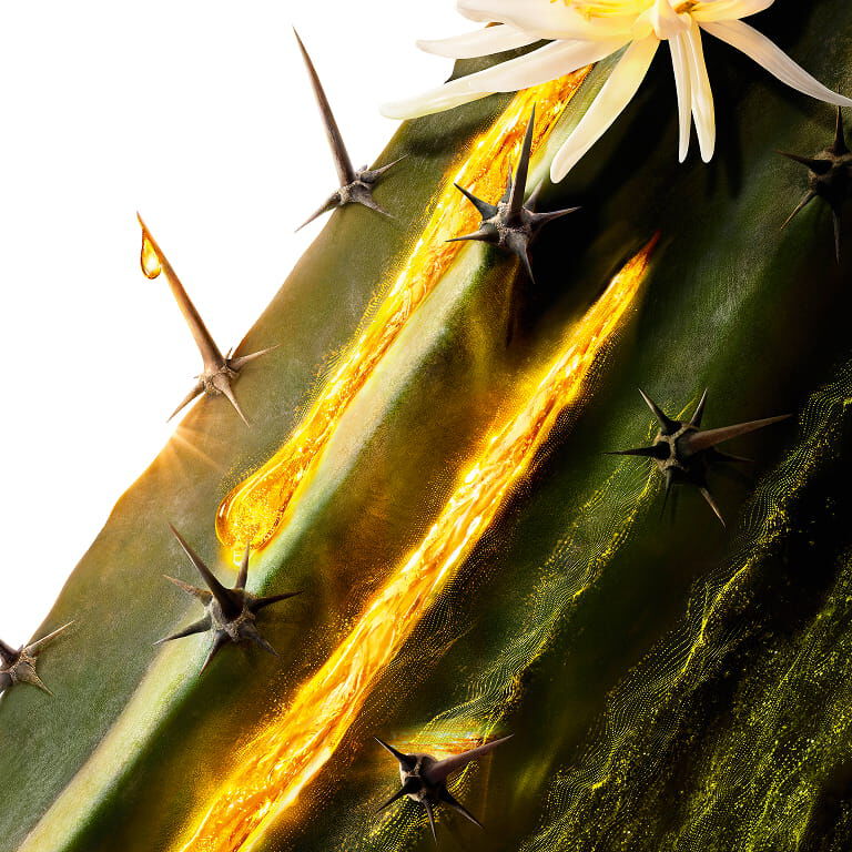 YSL Pure Shots Moonlight Cactus, een belangrijk ingrediënt, met een witte bloem en gouden essence die langs de stengel naar beneden stroomt.