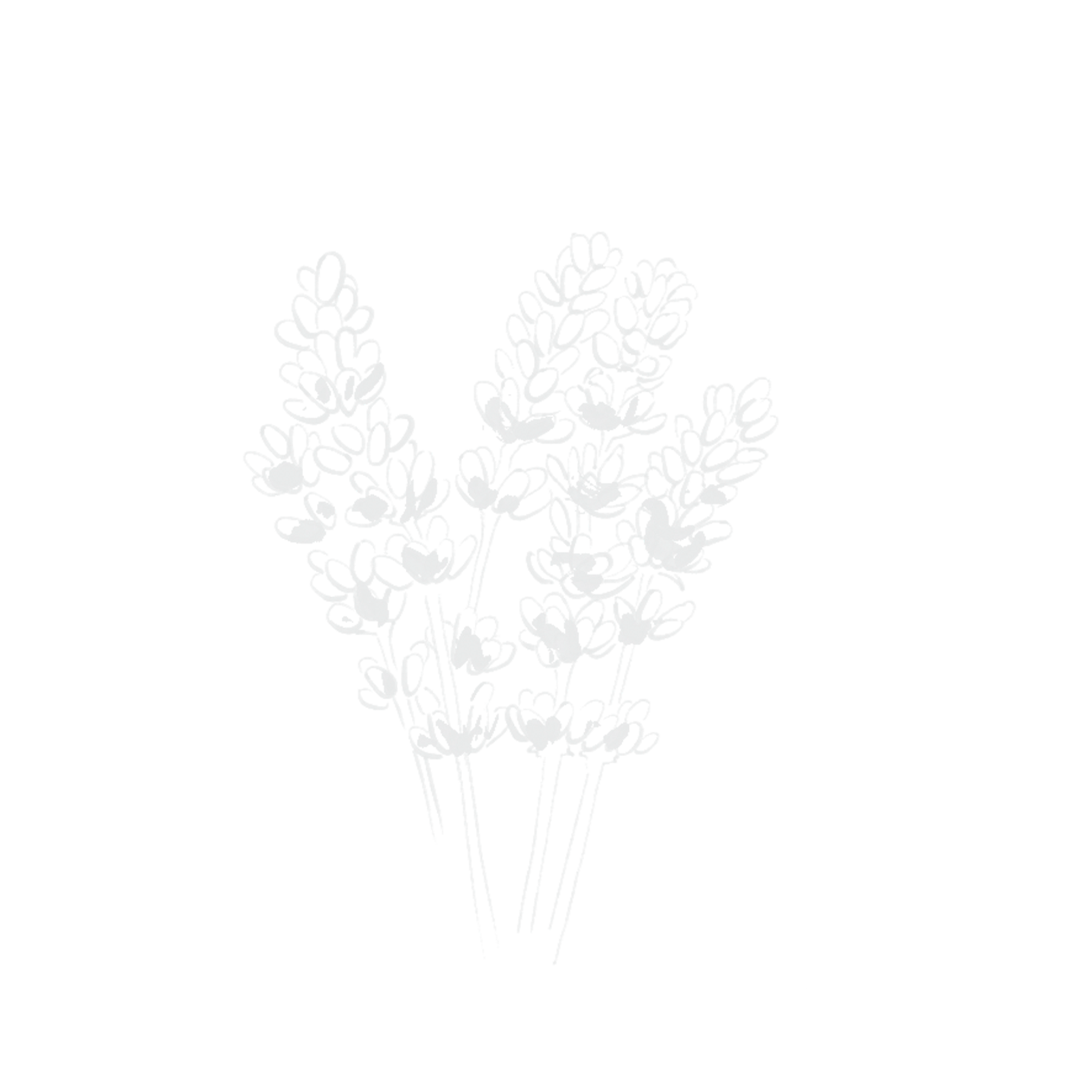 Abstract graphic representing the rich Ourika Saffron Accord, a
key ingredient in YSL Le Vestiaire des Parfums Extrait.